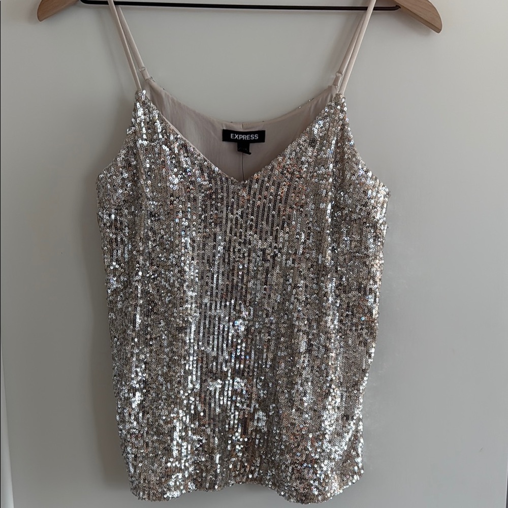 Express Sequin Silver top! Size S